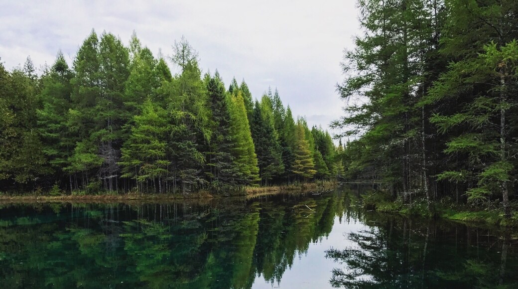 One of my favorite spots in my UP road trip. The lake is crystal clear and so beautiful