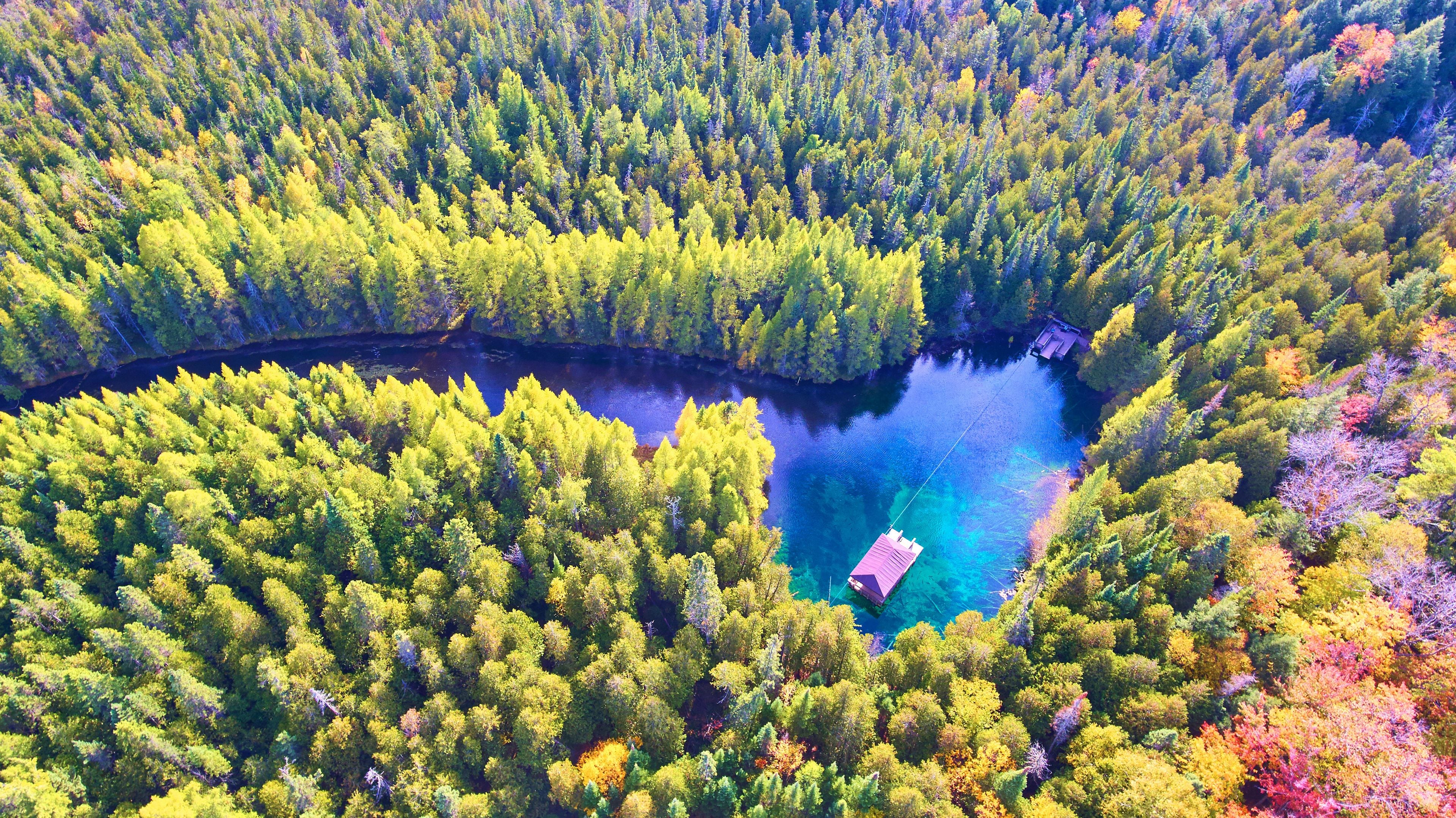 An aerial view of a forest with a clear blue lake surrounded by dense trees.