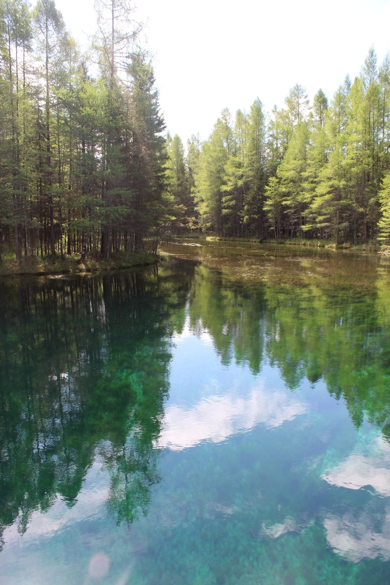 A clear lake surrounded by dense forest.