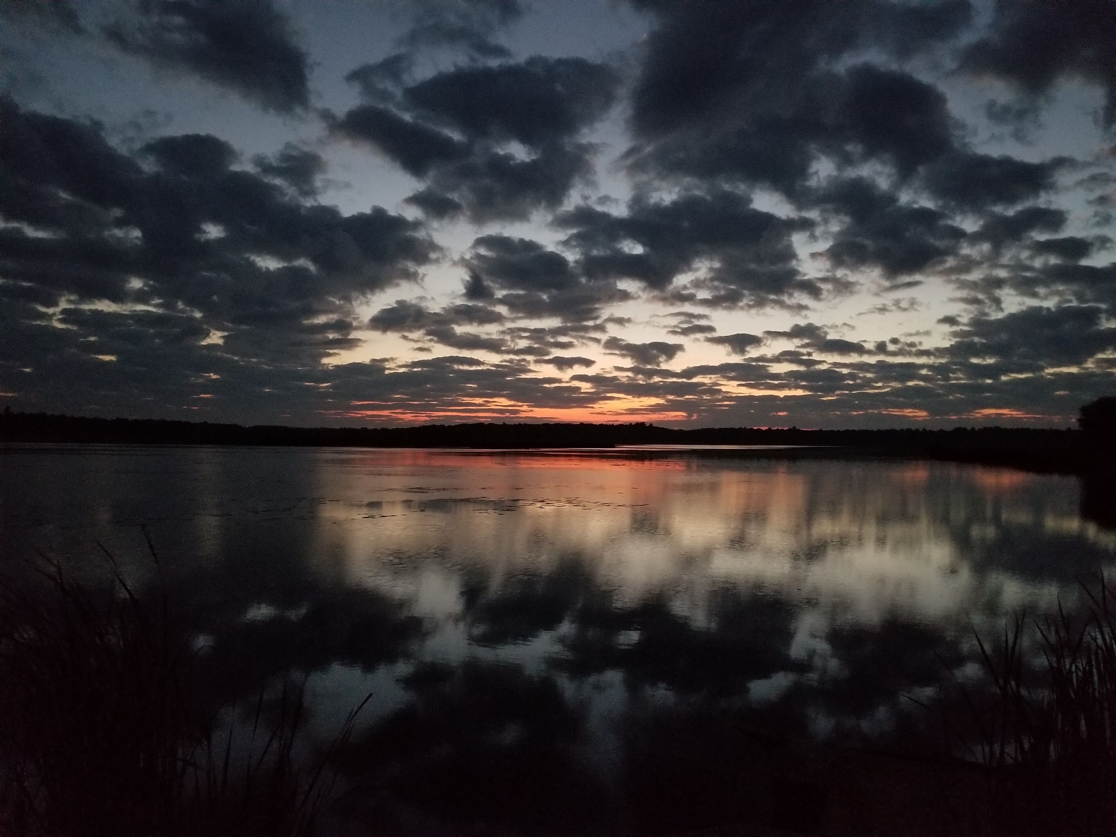 Sunrise over a cranberry marsh reservoir.