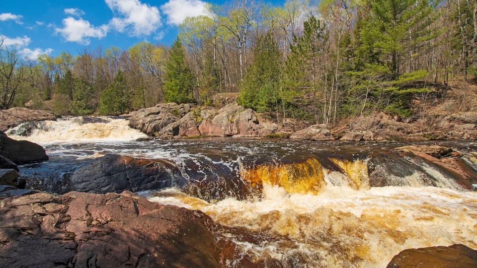 Brown Water flowing over a North Woods Falls
