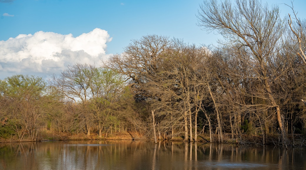 Lake and Trees at Cedar Hill State Park