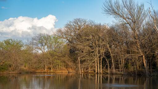 Lake and Trees at Cedar Hill State Park
