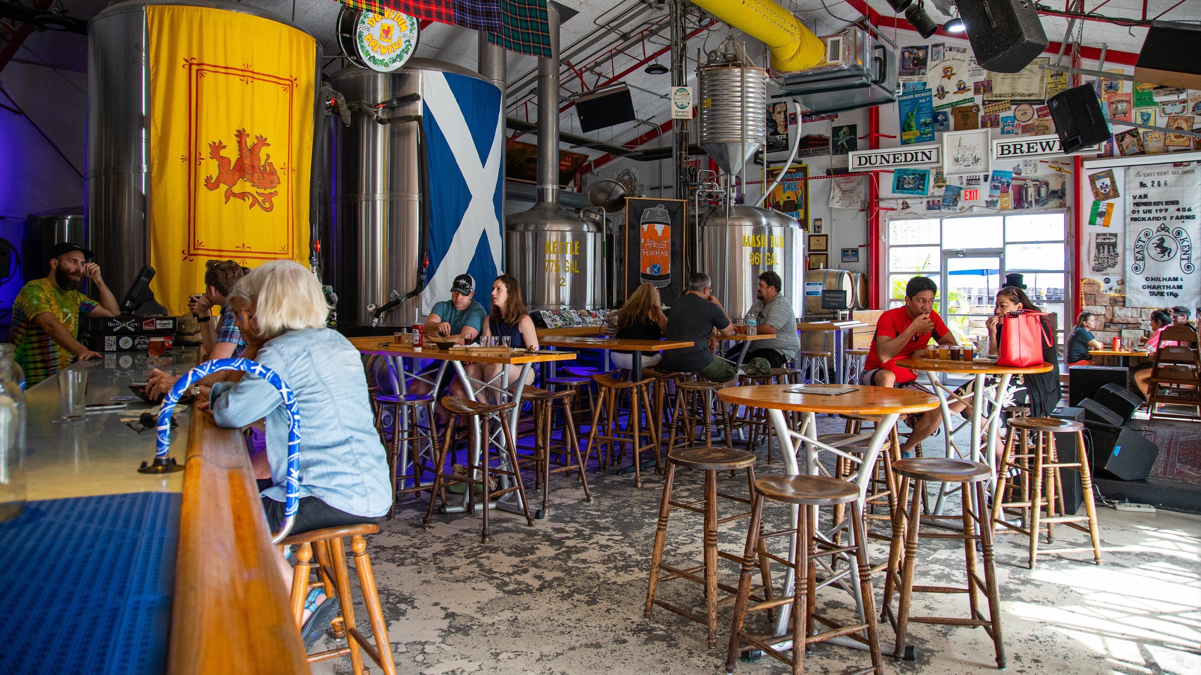Dunedin showing a bar and interior views