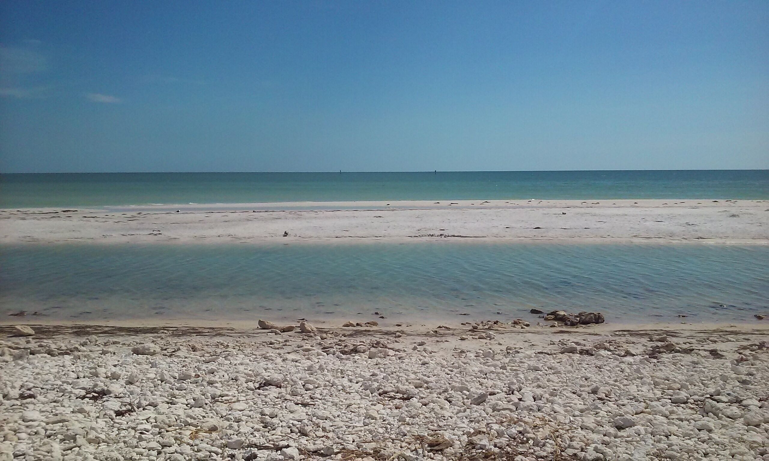 This barrier island state park offers numerous nature-based activities. 5 miles of beaches, 3.5 miles of wooded hiking trails, nature center with gift shop and scenic views, 2 cafes, a new playground and wildlife including gopher tortoises, dolphins, manatee, eagles, owls, osprey and 100 of species of birds.

#florida #dunedin #beach #honeymoonislandstatepark #floridastatepark #gulfcoast #swimming
