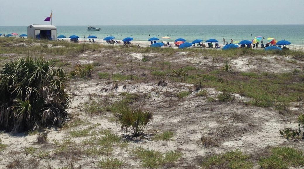 After taking a short, enjoyable ferry ride we made it onto Caladesi Island. Following the path we went to the beach where we enjoyed the sunshine and warm Gulf waters. The only downside to this park is that the wait to get on the ferry back. The system in place makes sense but there definitely are some issues with it -- you have a set time to return and if you want to return earlier you may not be able to which is hard if you have tired children or a rough sunburn!