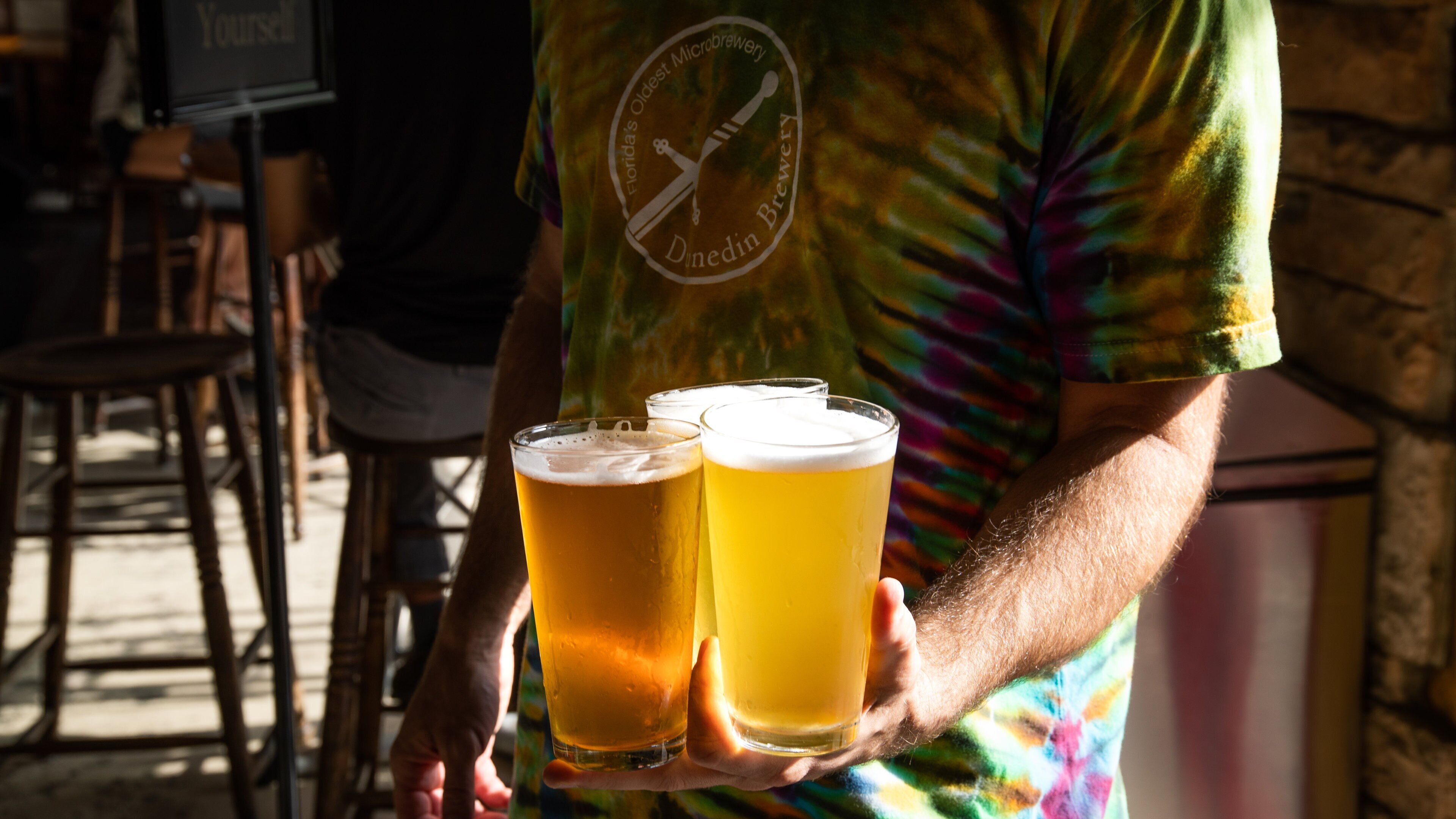 Dunedin featuring drinks or beverages as well as an individual male