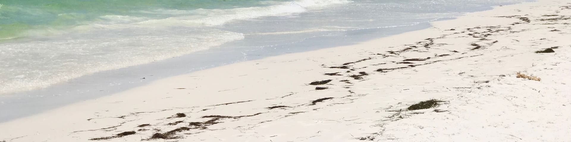 Beautiful beaches on Honeymoon Island.