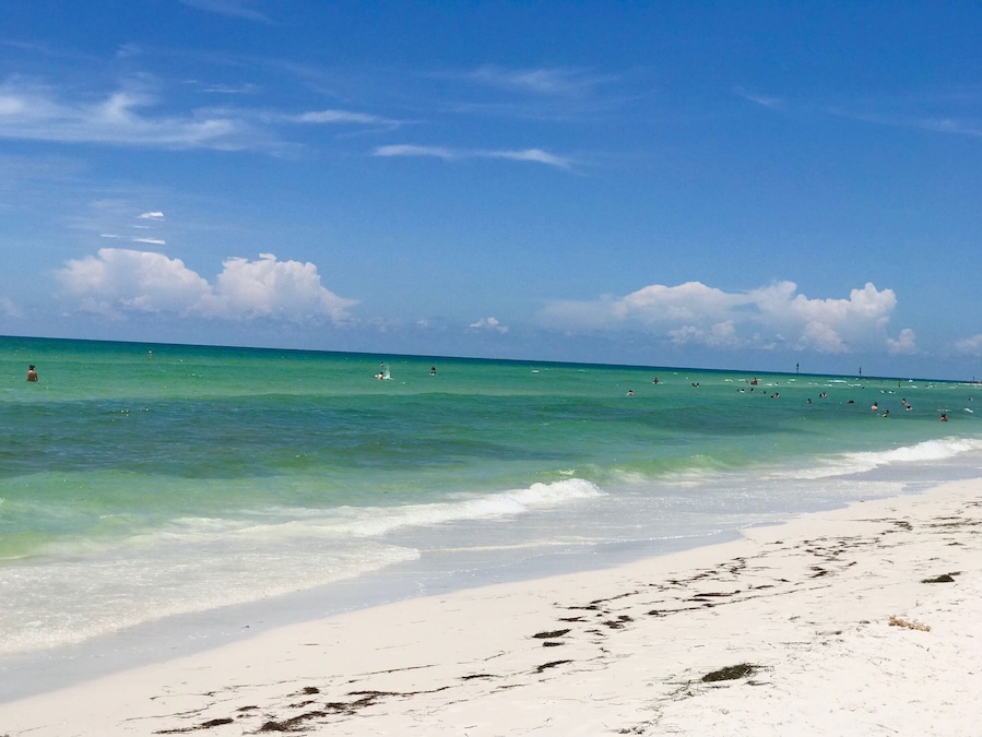 Beautiful beaches on Honeymoon Island.