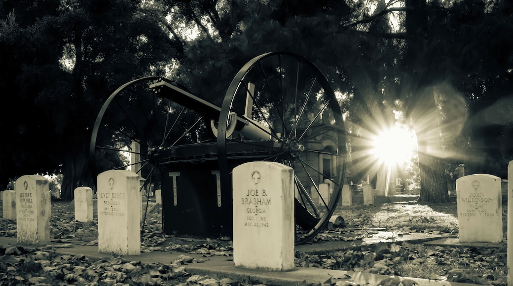 A section of military personnel