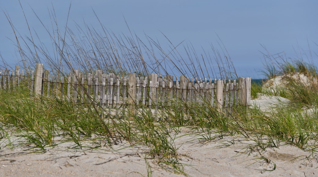 Beach Fence 3
