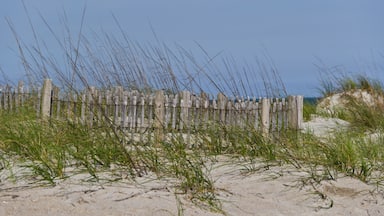 Beach Fence 3