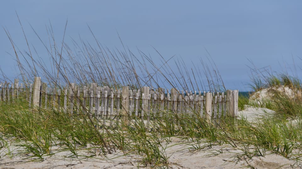Beach Fence 3