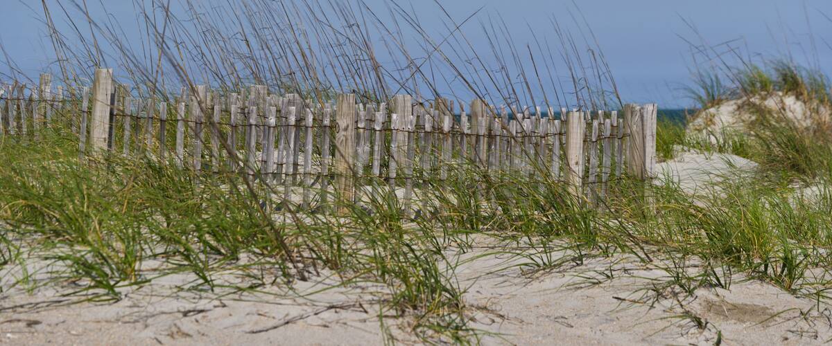 Beach Fence 3
