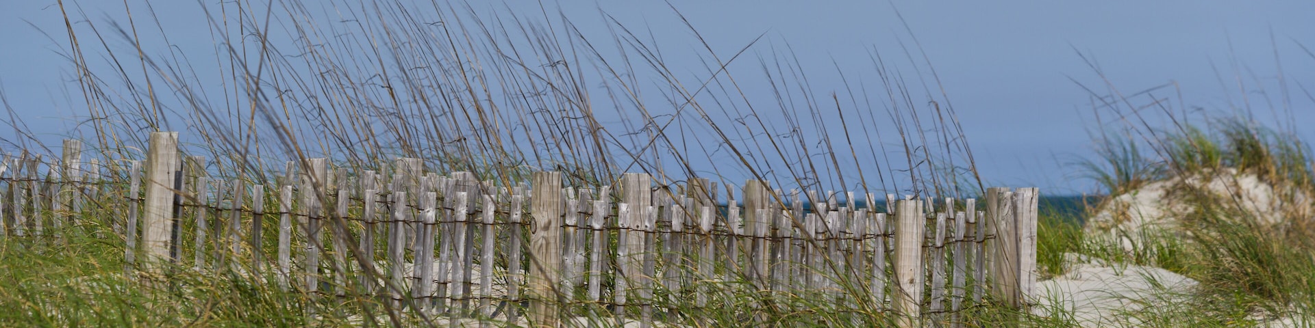 A wooden fence with tall grass in front of a sandy beach.