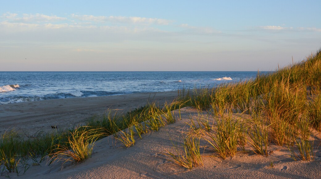 Late evening light over the sand dunes on the beach at Pea Island National Wildlife Refuge