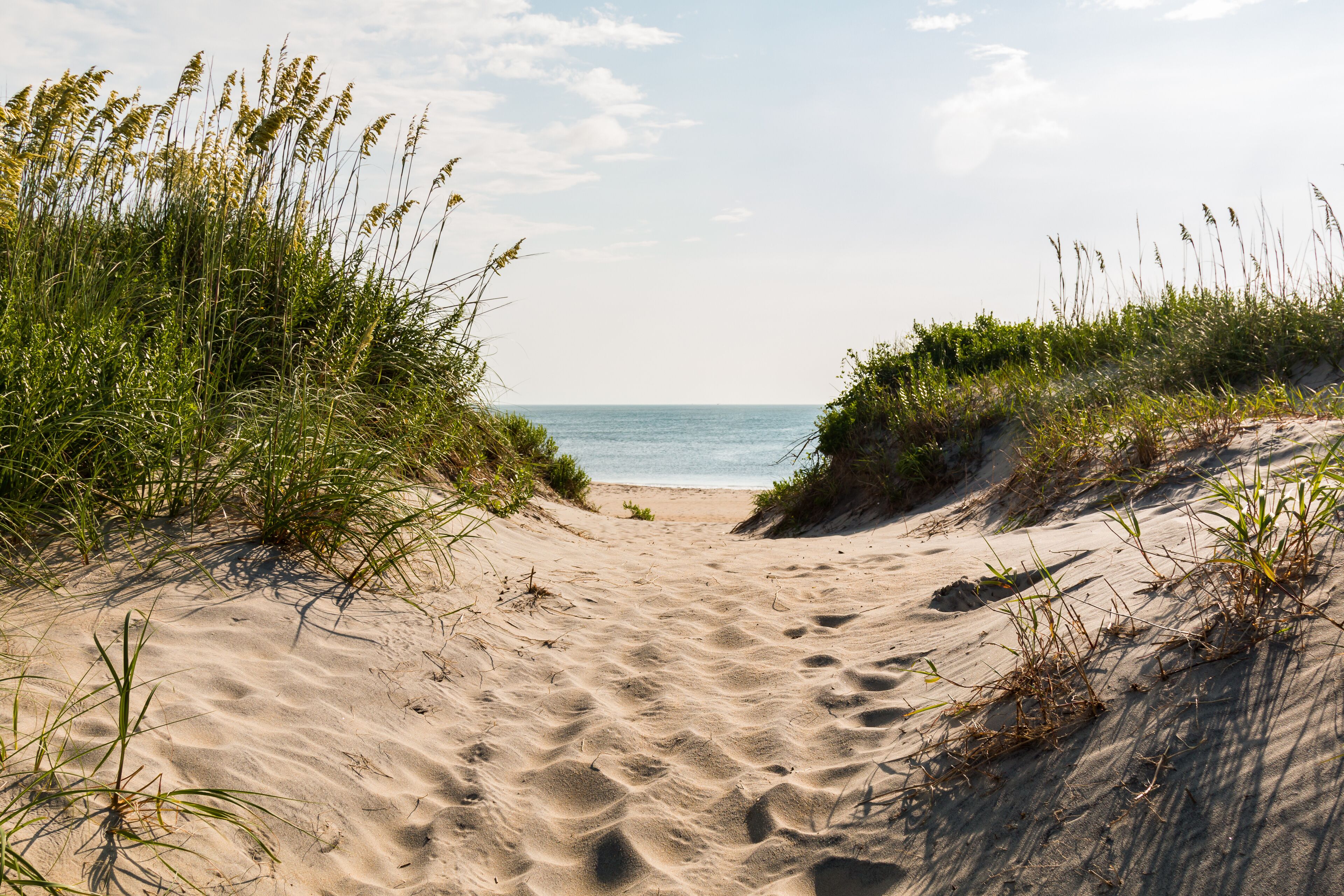 Sandy pathway to Coquina Beach on the Outer Banks in North Carolina at Cape Hatteras National Seashore.
