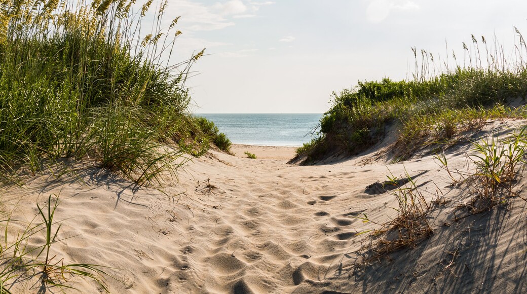 Sandy pathway to Coquina Beach on the Outer Banks in North Carolina at Cape Hatteras National Seashore.