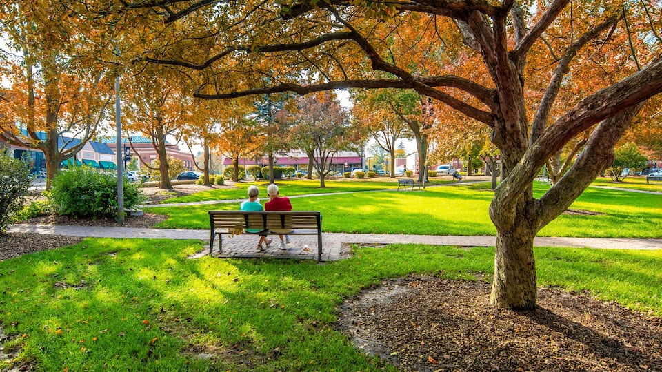 A park with a bench, trees with autumn leaves, a grassy area, and a building in the background.
