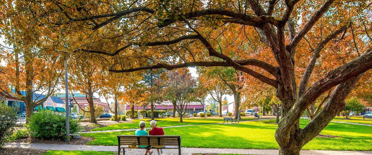 A park with a bench, trees with autumn leaves, a grassy area, and a building in the background.