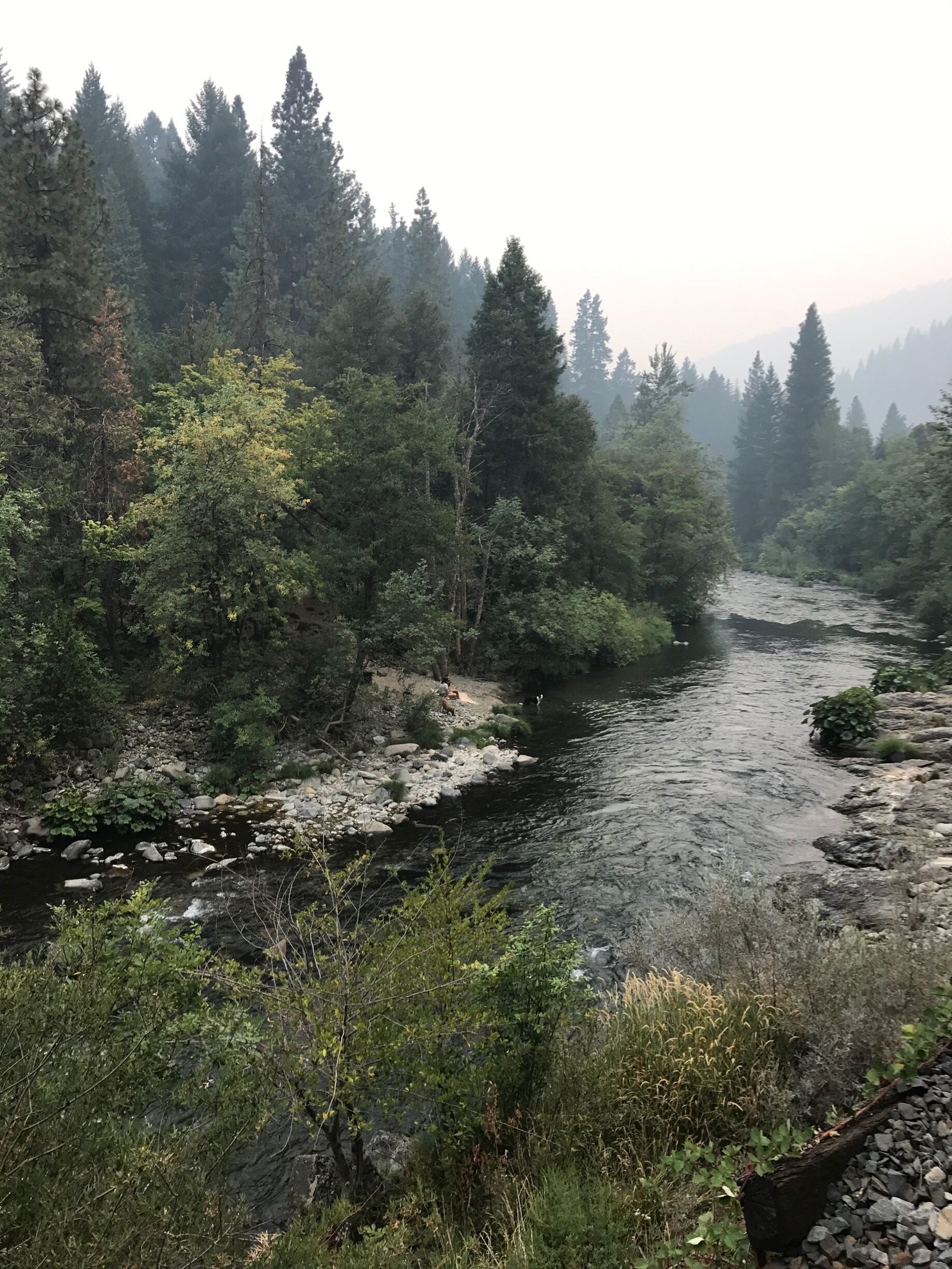 Sacramento River looking back downstream on the hike to Mossbrae Falls 