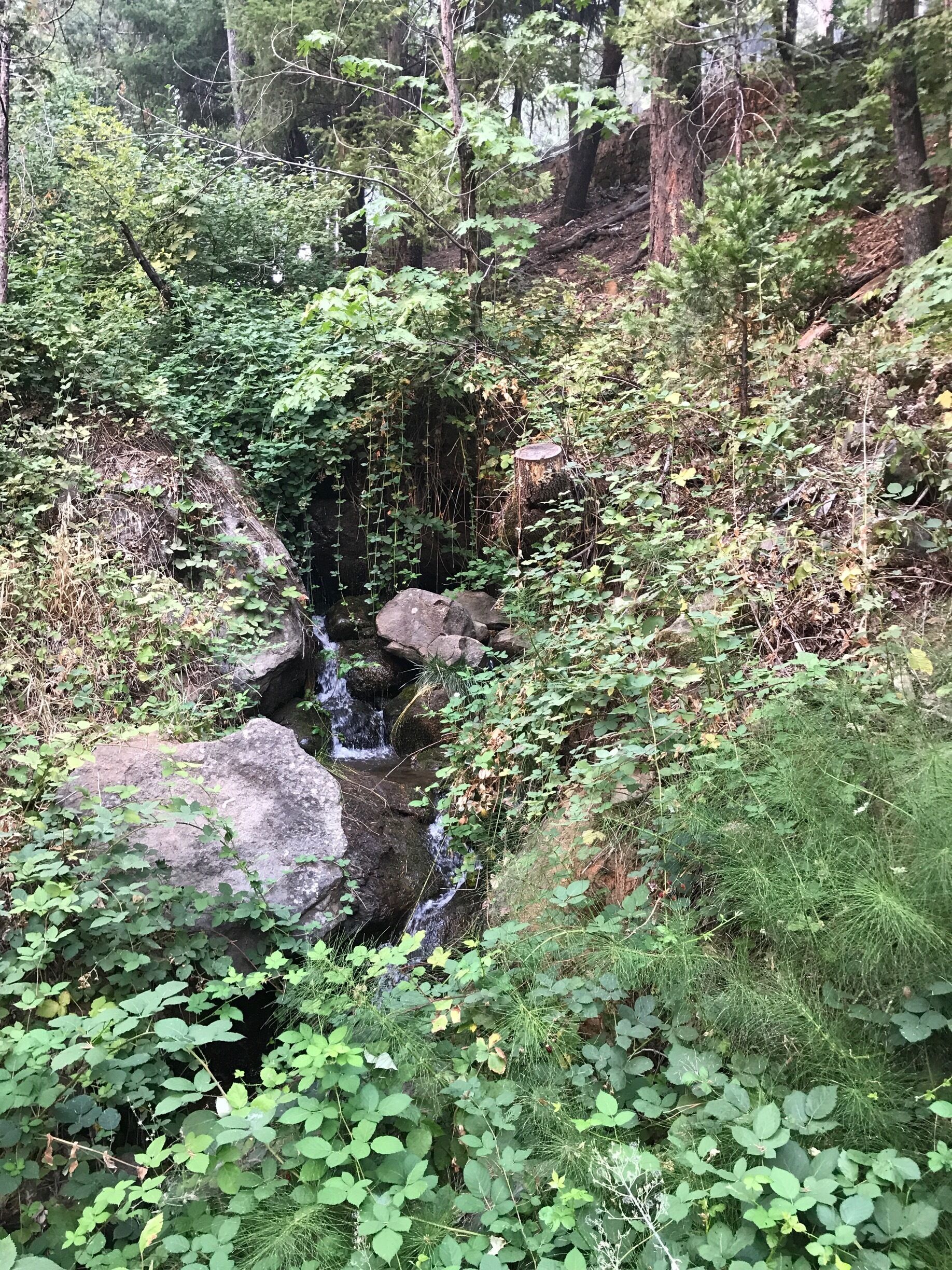 <h2>依水而居的热门住宿</h2>