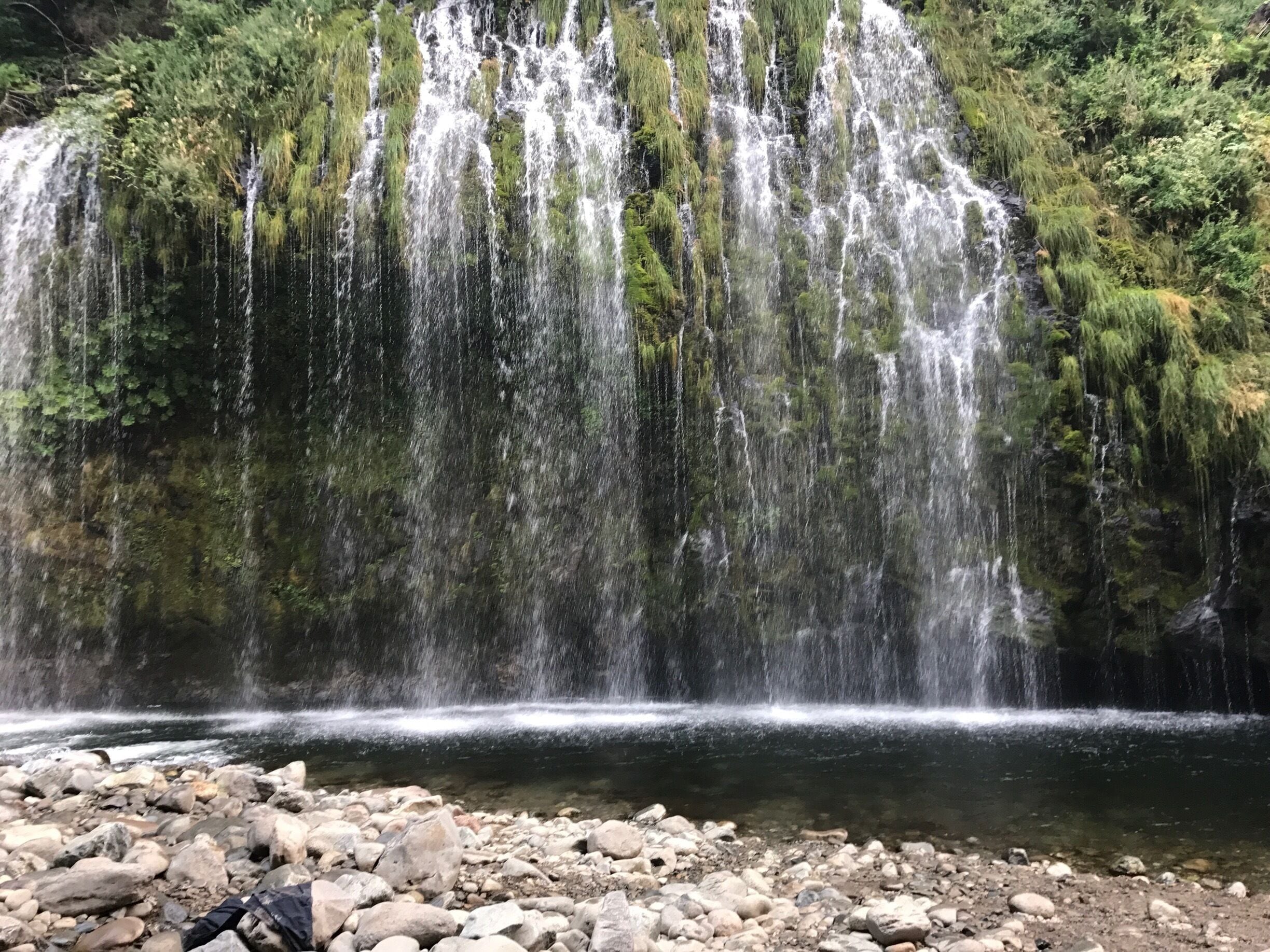 So glad I made the 1 mile trek up the railroad tracks to this hidden gem in NorCal.  There is officially no trail, but park your car above Shasta Retreat then walk through town to the railroad tracks.  Follow along the tracks for about a mile and when you come to the first bridge over the Sacramento River look right.  You'll hear them too.  Follow the path and you will be stunned.  This picture only covers part of the falls.  They are 200 feet wide and are Springs pouring out of the rock face.  I'm so glad I didn't let the fact that there was no trail stop me.  Do beware there's trains.  2 passed me and they come close.  Well worth the risk!