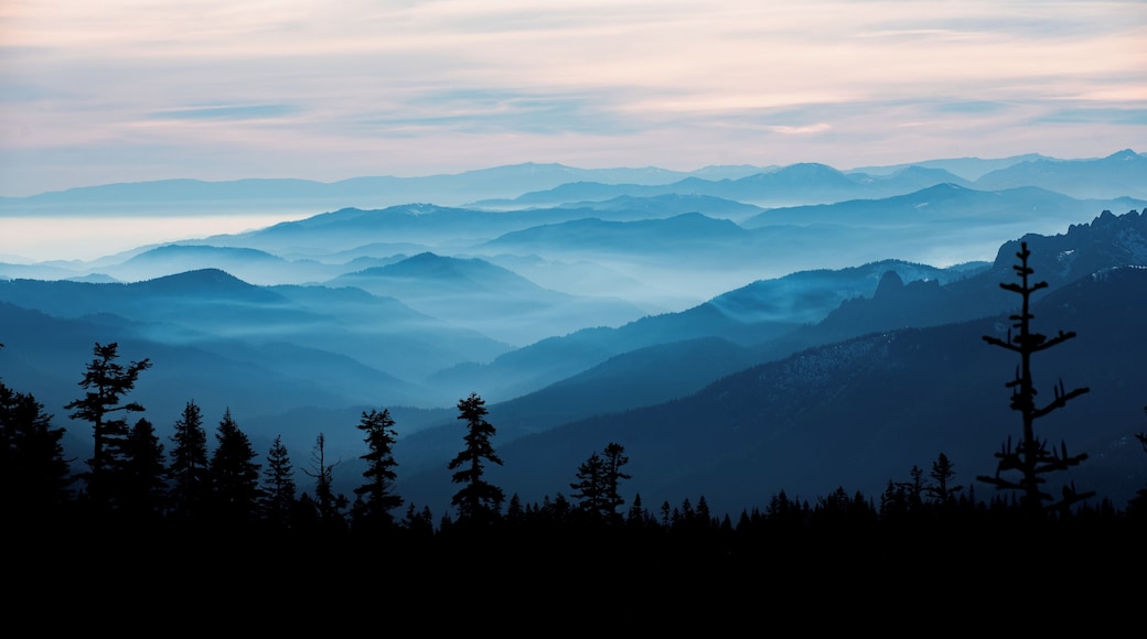 Mount Shasta towers over everything else in northern California. Winter treks on the mountain require snowshoes, but are rewarded with a smoky view of all the ranges and valleys below. I wish the photos we took even came close to comparing to the real deal.