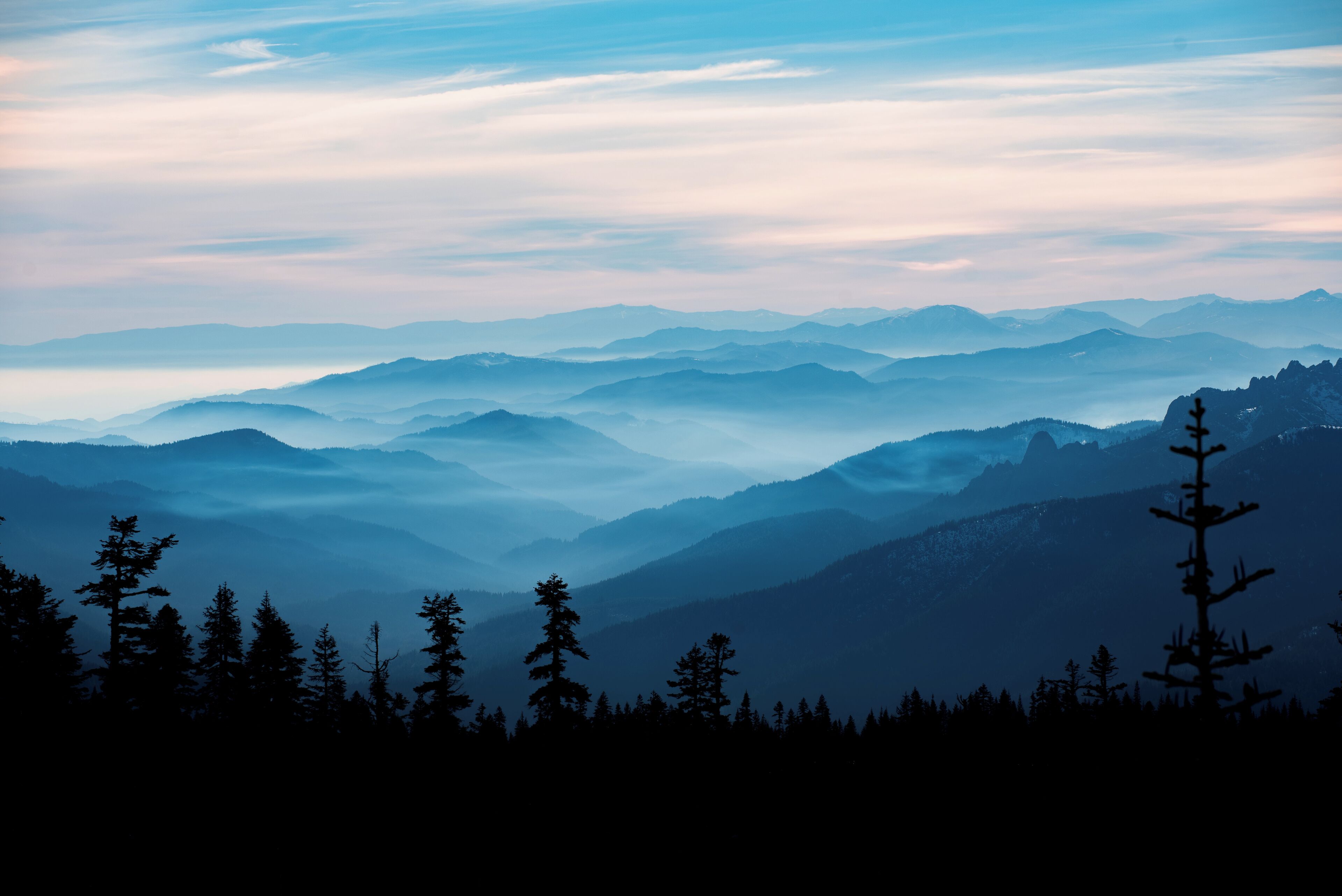 A mountain range with a forested foreground and a misty atmosphere.