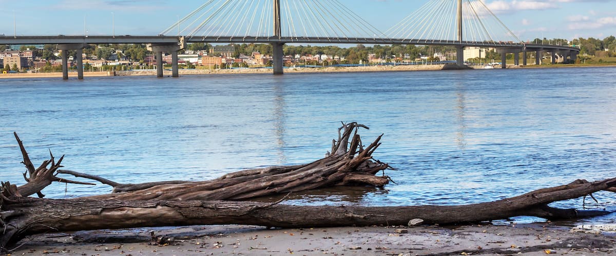 A suspension bridge over a river with a fallen tree in the foreground.