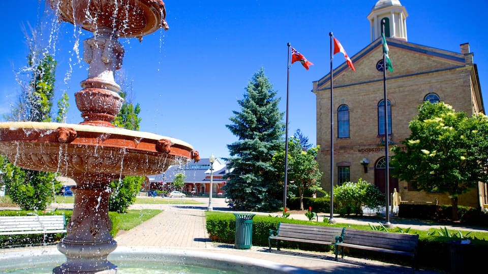 A fountain, a building with flags, and a tree in a park.