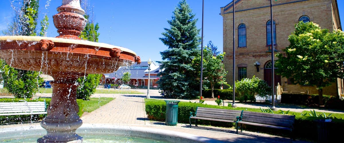 A fountain, a building with flags, and a tree in a park.