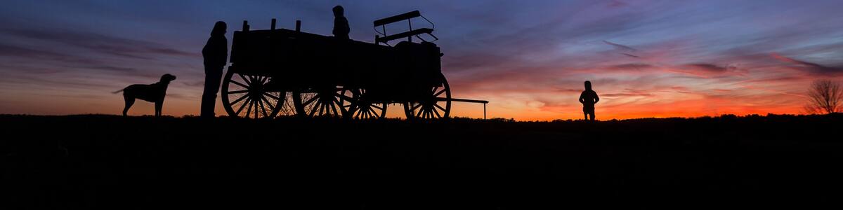 A silhouette of a person, a dog, and a horse-drawn carriage against a sunset sky.