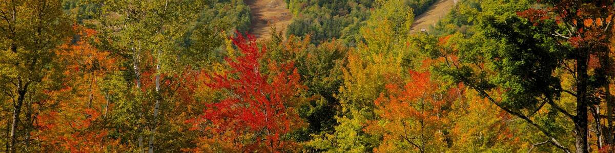 Bethel featuring fall colors and landscape views