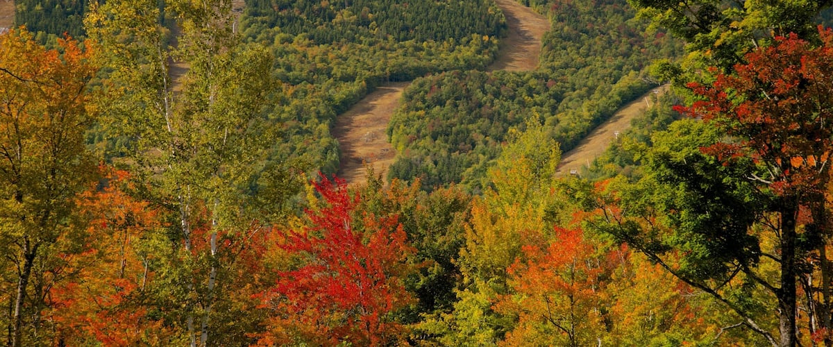 Bethel featuring fall colors and landscape views