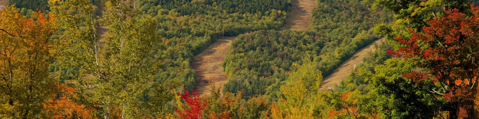 Bethel featuring fall colors and landscape views