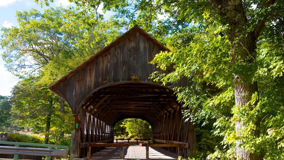 A covered wooden bridge with a triangular roof, surrounded by lush green trees.
