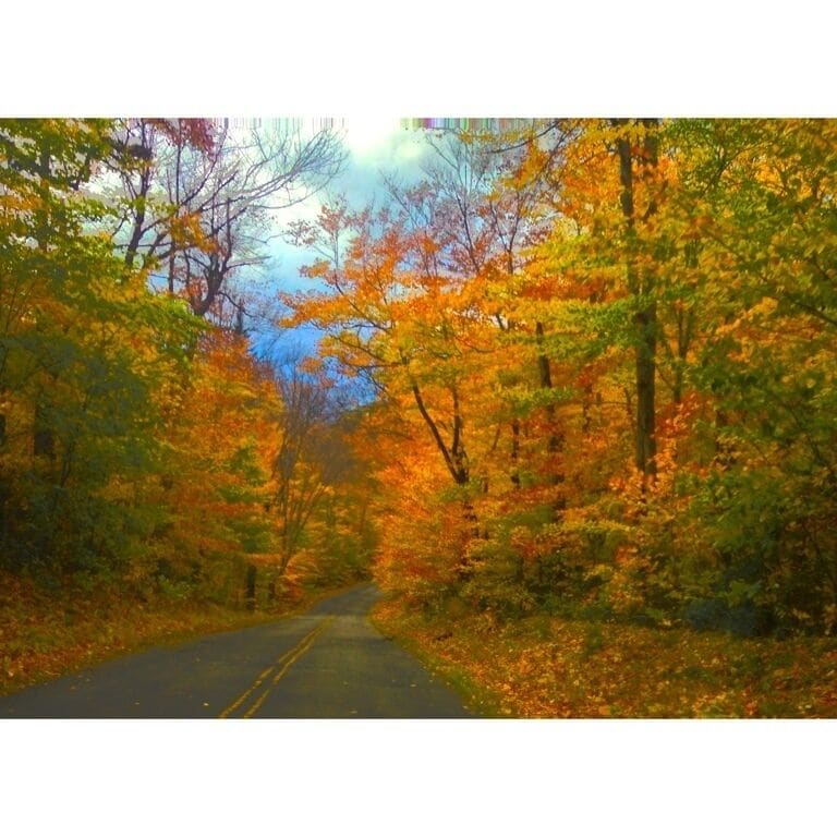 Evans Notch, the best kept secret Autumn ride in New England. All the trees overhang the road and because it is not maintained in the winter it is not cut back. It's a 15 mile drive of this type of scenery as well as mountains and at the end there is a white birch grove.