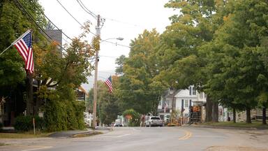 Bethel showing a small town or village