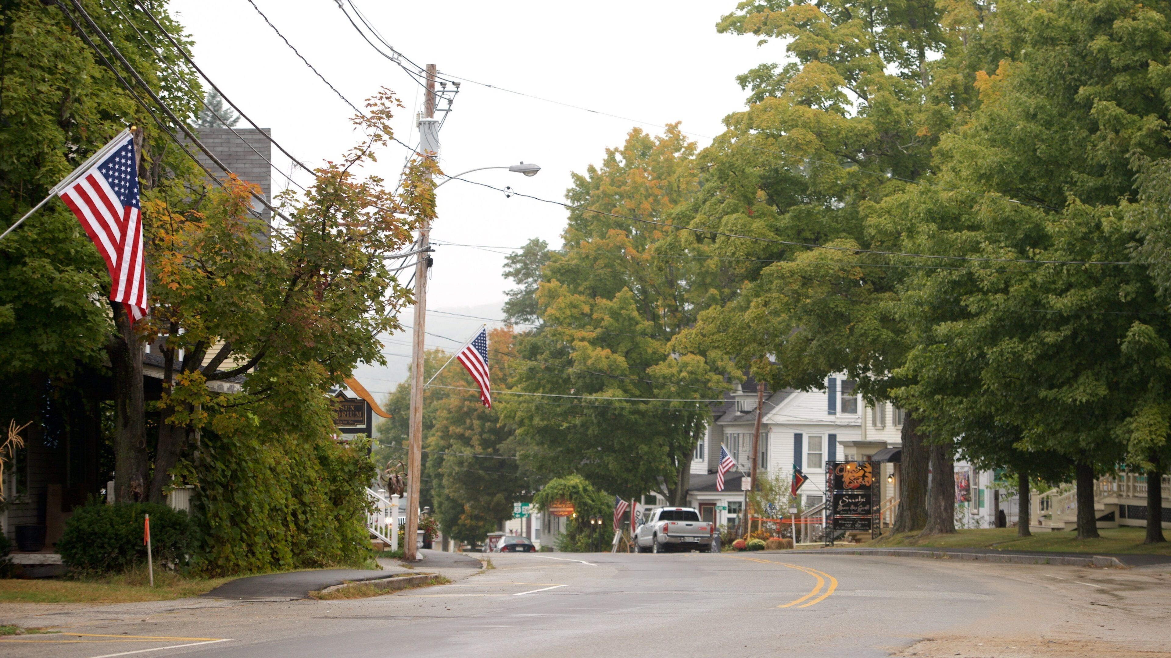 A street lined with American flags, houses, and trees.
