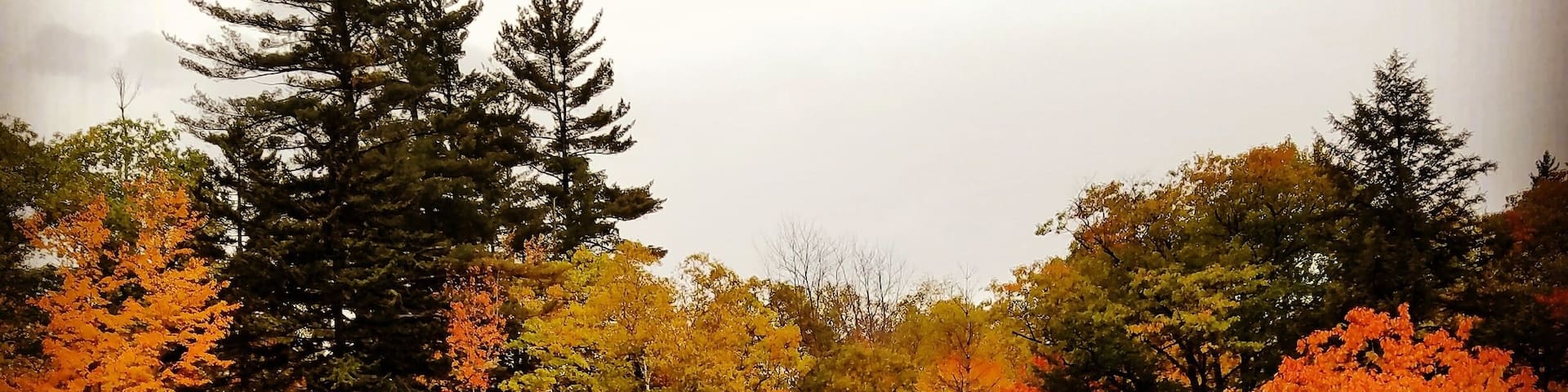 A stop off of Rt 113, the scenic byway between Gilead and Fryeburg. Gorgeous road to drive on in autumn.