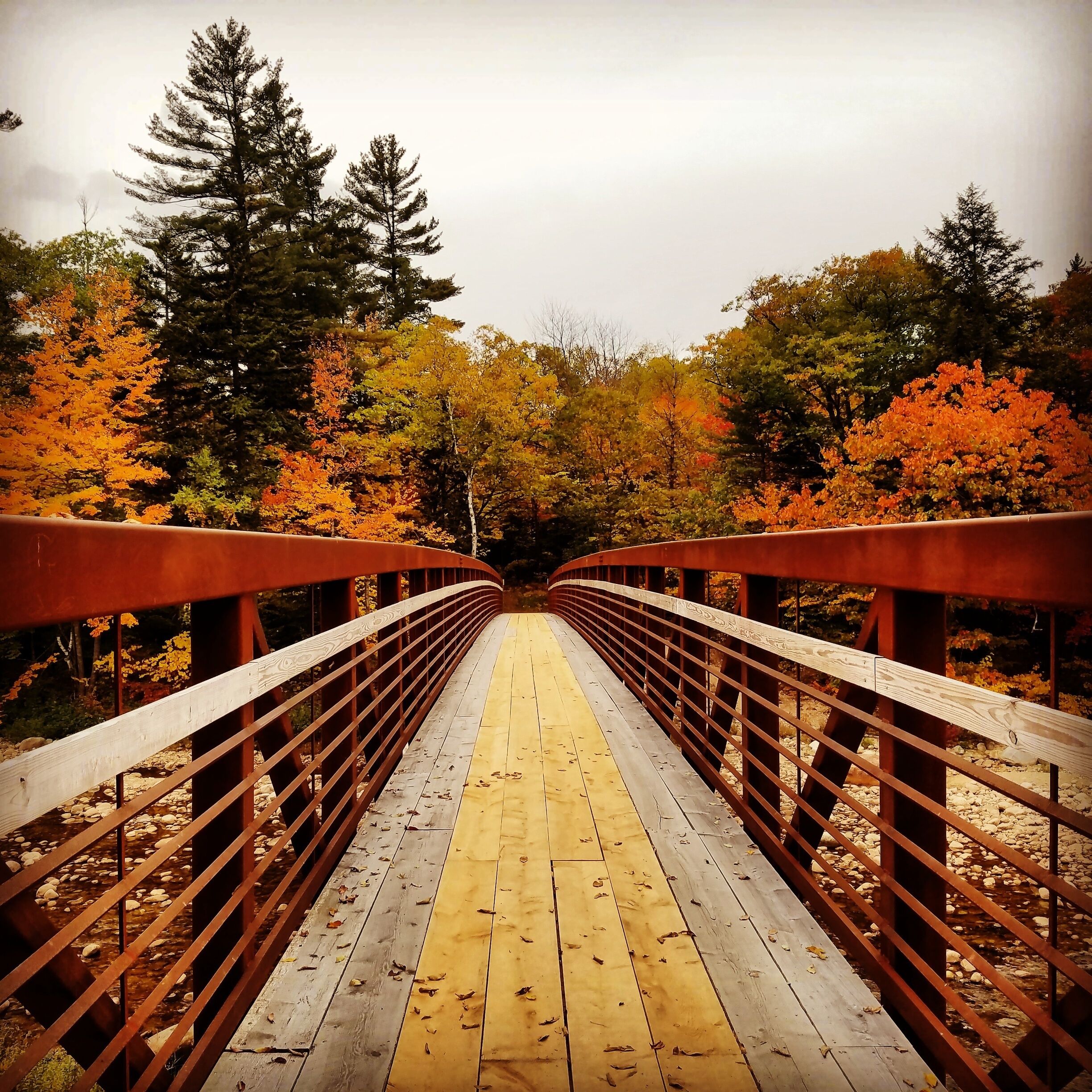 A wooden bridge with red railings, surrounded by autumn-colored trees.