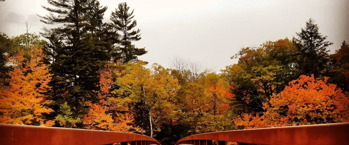 A wooden bridge with red railings, surrounded by autumn-colored trees.