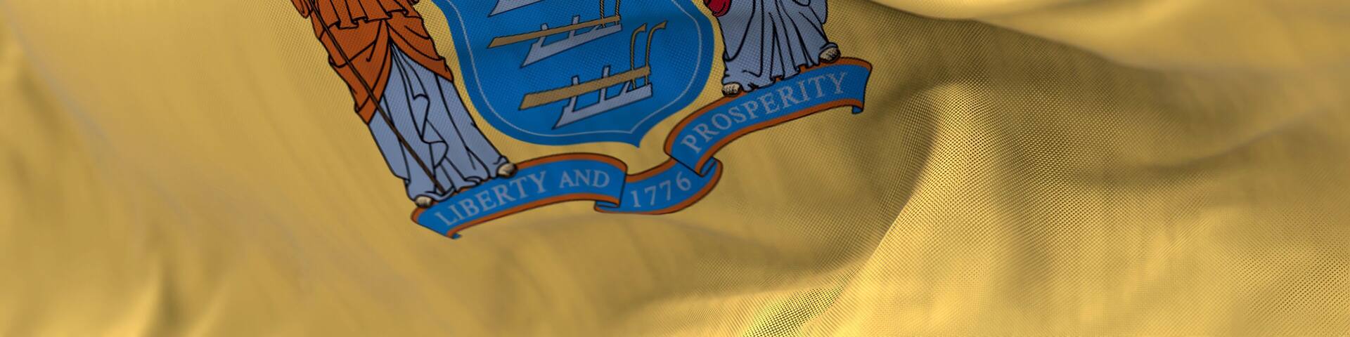 Detail of the New Jersey state flag waving in the wind