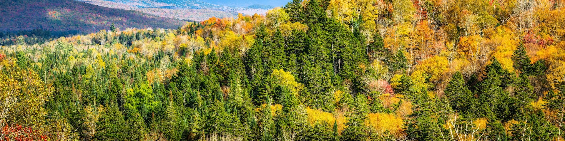 Panoramic view of New Hampshire fall foliage colors with clouds covered Mount Washington, in the background, as viewed from Bethlehem's NH Main street, on a sunny afternoon
