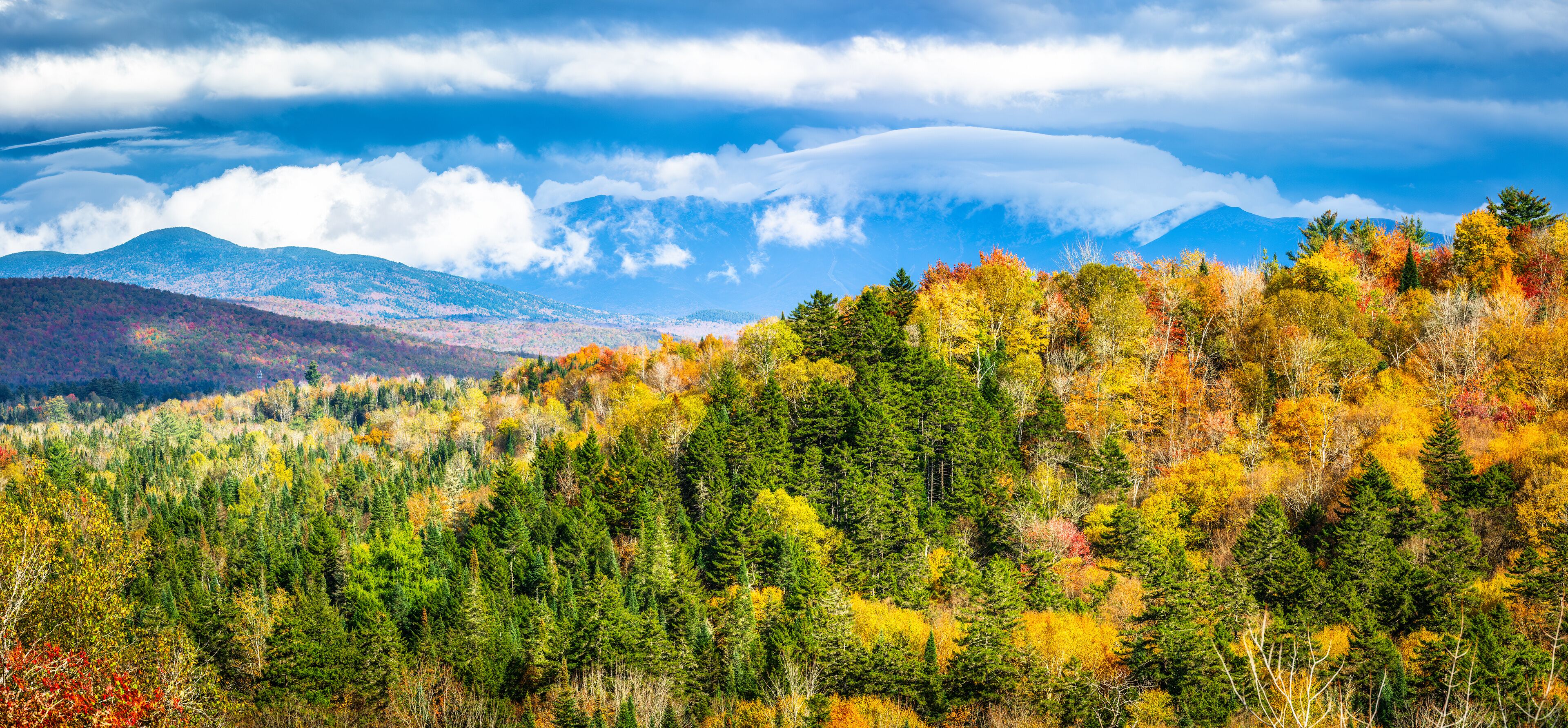 A forest with autumn foliage and mountains in the background.
