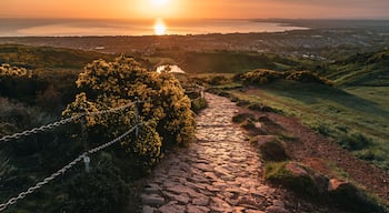 A stone pathway leading through a hilly landscape with a sunset in the background.