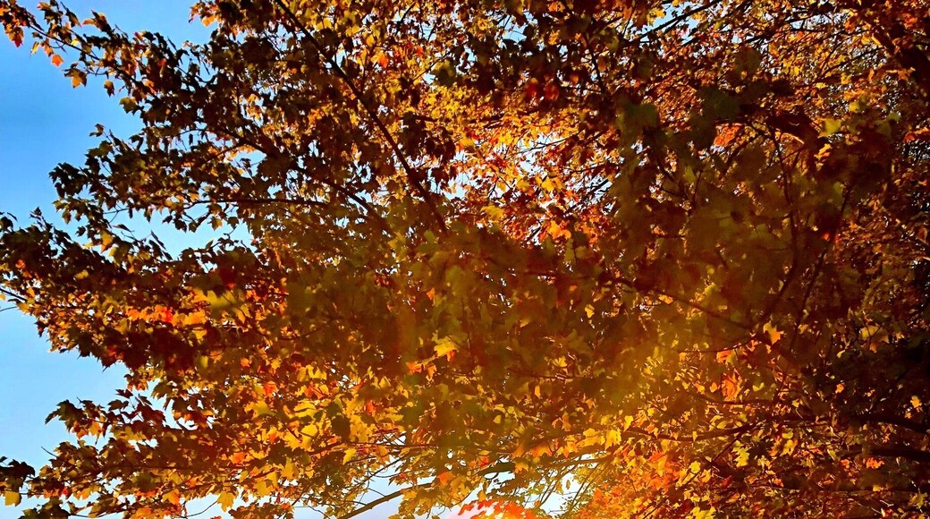 Sunset at Knox Farm #greatoutdoors