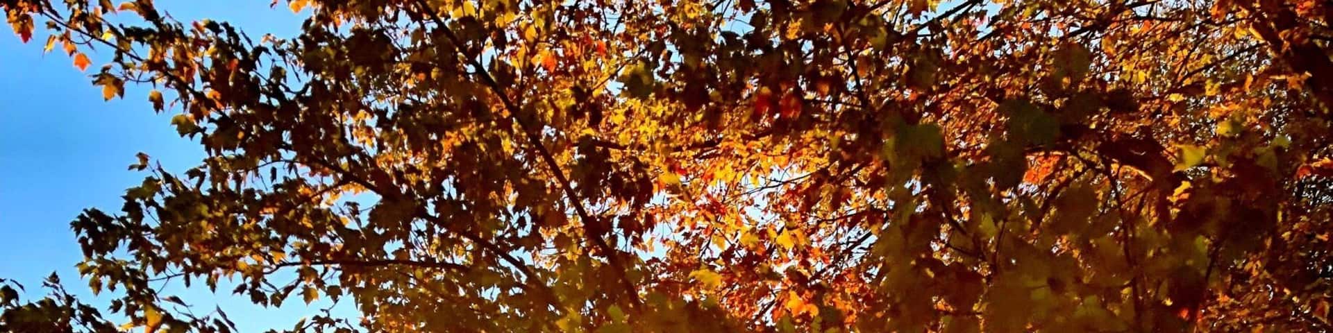 Sunset at Knox Farm #greatoutdoors