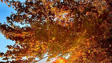 Sunset at Knox Farm #greatoutdoors